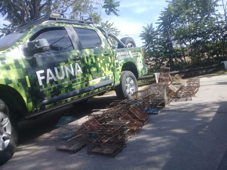 Fuerte Aumento De Las Multas Por Infringir La Ley De Fauna Silvestre En