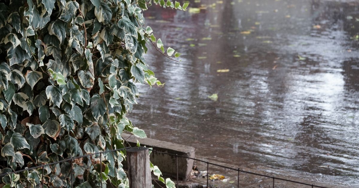 Tormentas en Mendoza cortes árboles caídos granizo calles anegadas