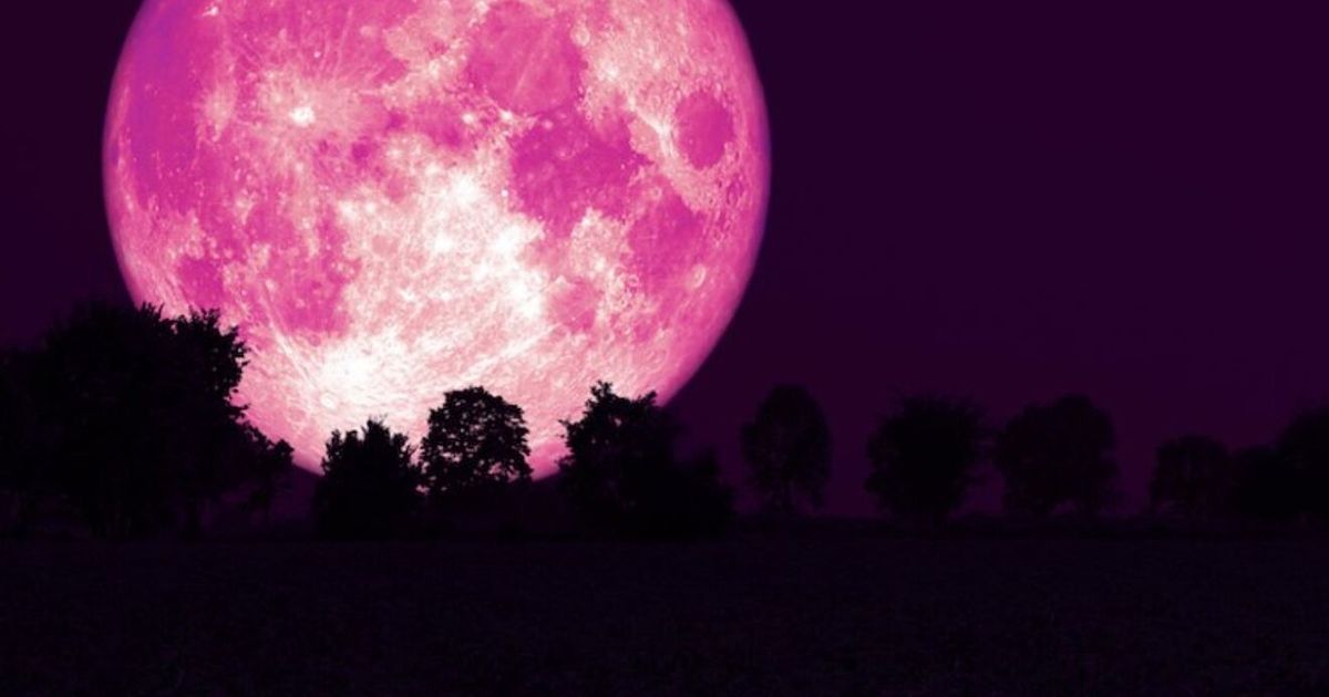 Luna Rosa De Abril Cu Ndo Y D Nde Verla