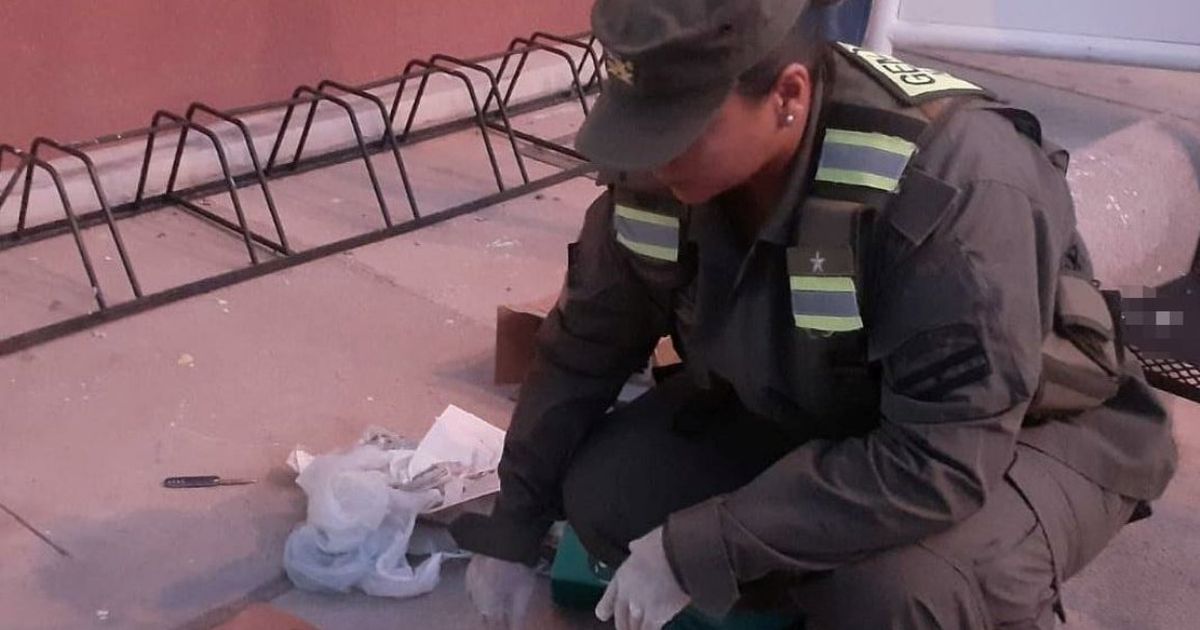 Malargüe encontraron droga en la bodega de un colectivo