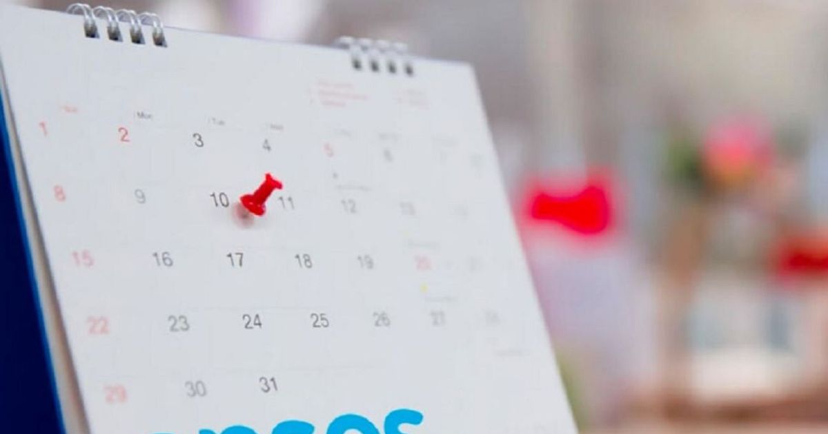 ANSES conocé el calendario completo de pagos para octubre 2024