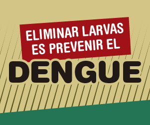 DENGUE - 300X250