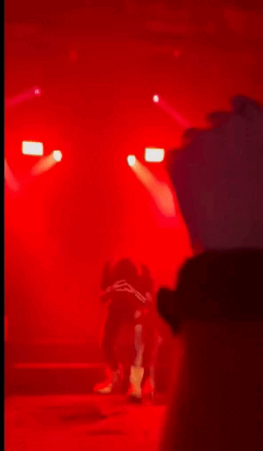 Maxi Trusso se lanzó al público y nadie lo atrapó: el insólito final de su show.