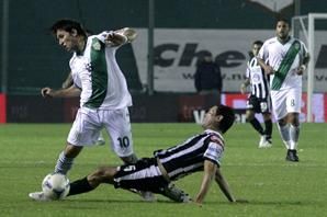 Banfieldalbo