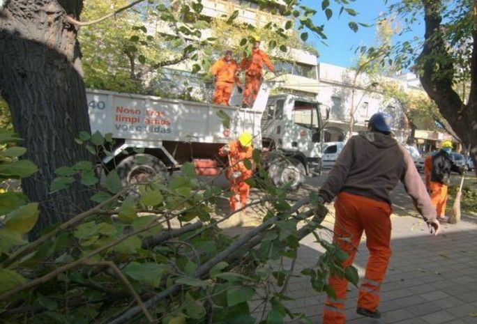 Poda y desrame en Capital