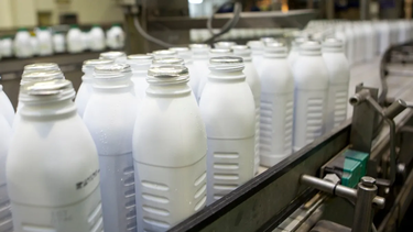 Leche sin salida: la crisis en la exportación afecta a productores y mercado interno