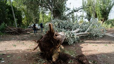 Sitio Andino | Tormenta en lavalle, tormenta, arboles caidos, granizo, destrozos,  - 499879