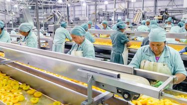 Por la devaluación, Argentina mejora en ranking de competitividad salarial