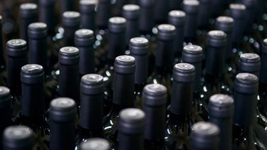 Crece en la Argentina la producción vitivinícola orgánica, así como el consumo
