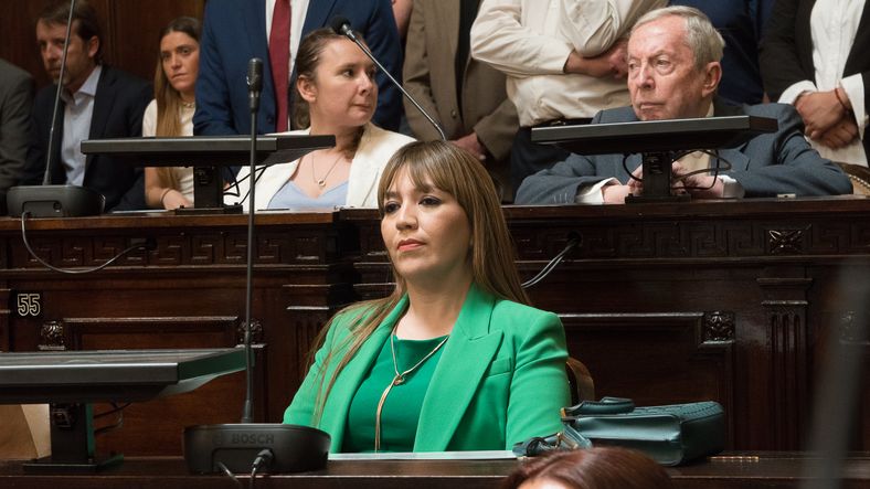 Tras la condena contra Janina Ortiz, qué pasará con su banca en Diputados.