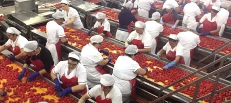 General Alvear pretende regresar al Programa Tomate 2000.