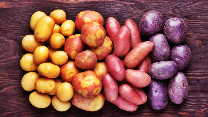 Las papas andinas se destacan por su variedad de colores, texturas y sabores.
