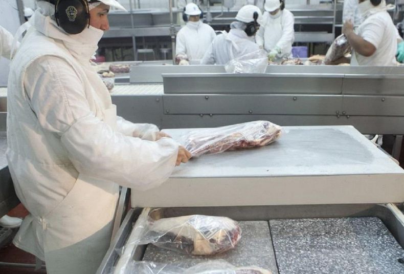 Carne, bovina, exportacion