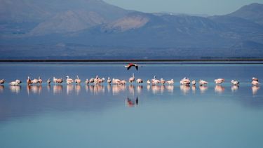 Turismo en Mendoza: la joya natural de Malargüe que todo turista debe conocer