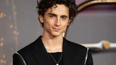 Timothée Chalamet protagoniza esta película en Max.