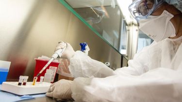 Sitio Andino | estudio para conocer la dinámica y diversidad de la población viral de SARS-CoV-2 y las rutas de transmisión en Argentina, ministerio de salud