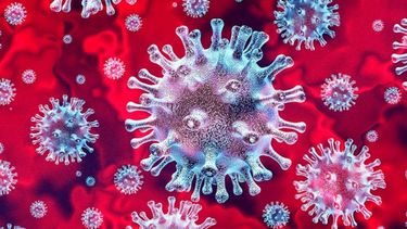 Sitio Andino | Coronavirus 1