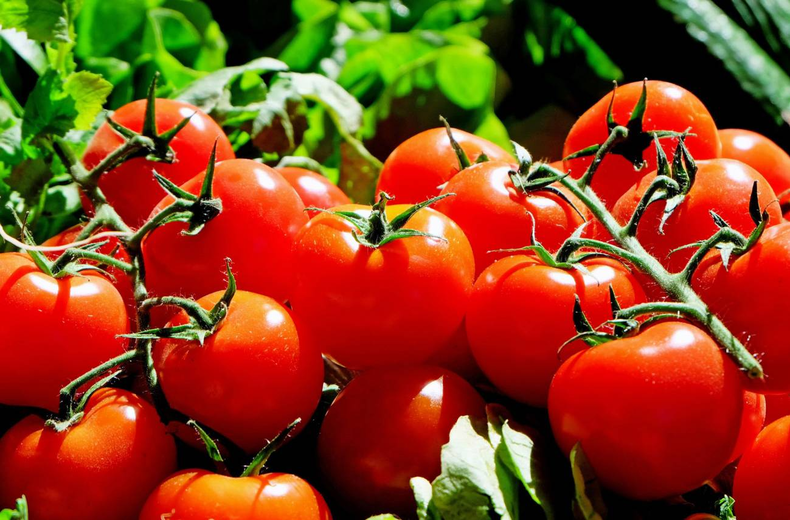 El precio del tomate aumentó más de 45%.