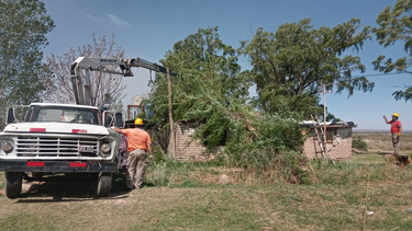 san carlos tras el zonda: cayo un arbol sobre una vivienda