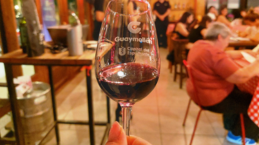 Degustación y maridaje en Guaymallén.