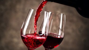 Avanza plan para lograr que el Malbec argentino ingrese a China con arancel cero