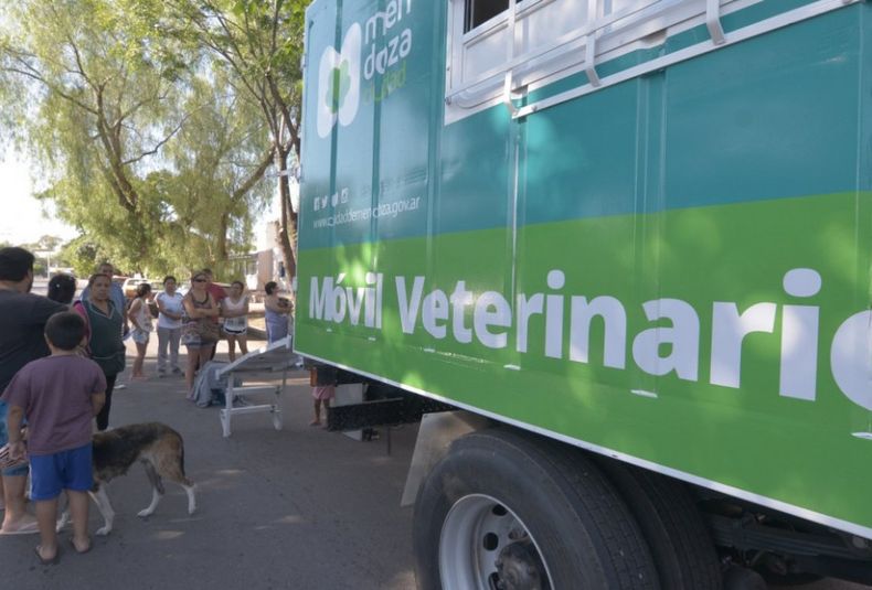 Movil veterinario ciudad 2