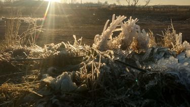 Frío extremo: cuáles fueron las zonas más gélidas de Mendoza, con hasta 8 grados bajo cero. Frío extremo: cuáles fueron las zonas más gélidas de Mendoza, con hasta 8 grados bajo cero.