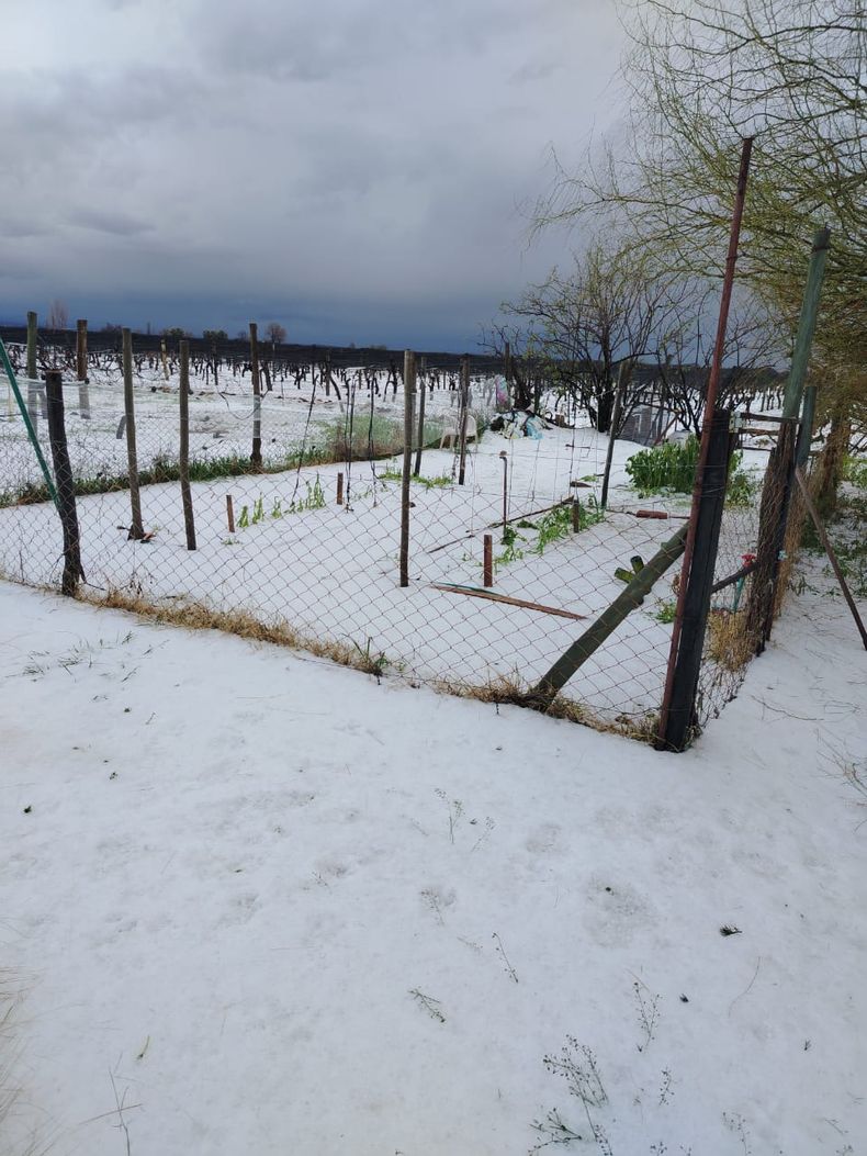 Fuerte granizo en La Consulta