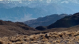 Antigua mina de Paramillos. En la zona&nbsp;existen indicios geológicos de depósitos de cobre y oro.&nbsp;