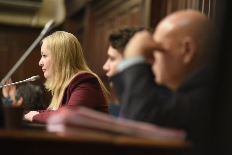 La transformación digital fue aprobada en la Legislatura con 33 votos a favor y 3 negativos. La transformación digital fue aprobada en la Legislatura con 33 votos a favor y 3 negativos.