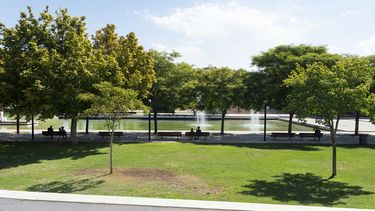 Ascenso de la temperatura, el pronóstico del tiempo para este viernes 31 de octubre en Mendoza Ascenso de la temperatura, el pronóstico del tiempo para este viernes 31 de octubre en Mendoza