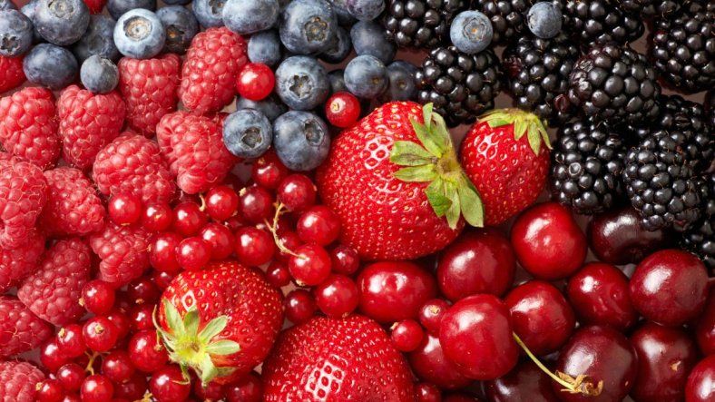 Cultivos emergentes: frutilla y frambuesa, nuevas oportunidades productivas para Mendoza