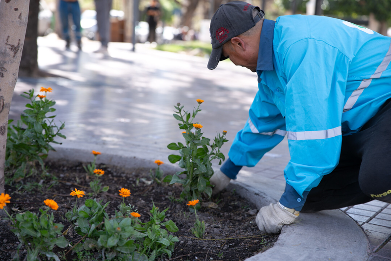 Mantenimiento y limpieza en la Ciudad de Mendoza.