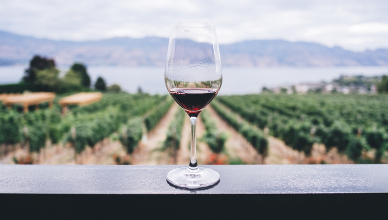 El vino en Mendoza: guía definitiva para entender, disfrutar y descubrir la bebida que convirtió a la provincia en una potencia mundial