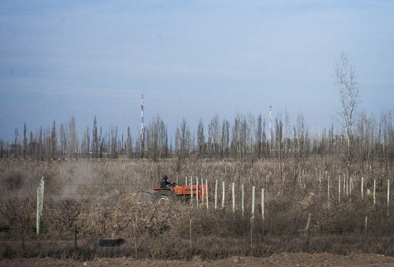 chacarero, campo, finca, agro, agroindustria, tractor, siembra