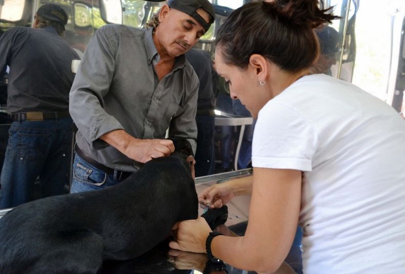 Quirófano animal