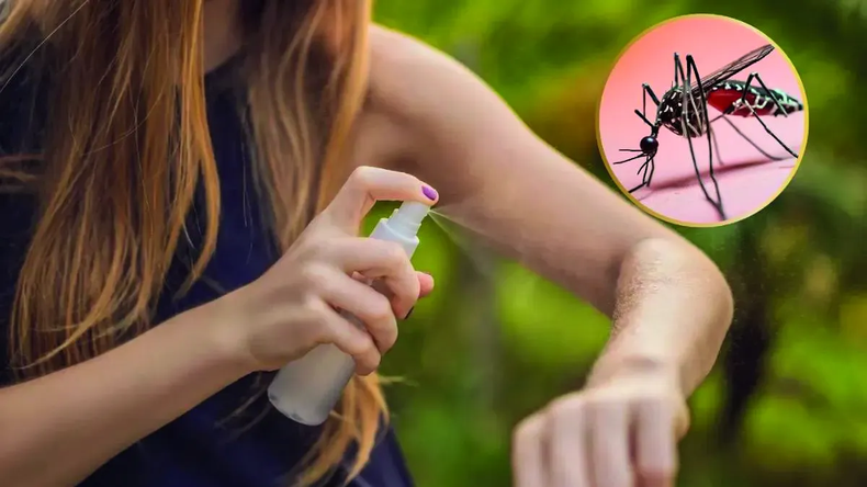 Dengue, en alerta: Godoy Cruz intensifica la prevención ante la suba de temperaturas.