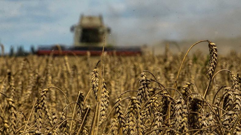 El Gobierno nacional redujo las retenciones al campo: cómo quedaron las nuevas alícuotas