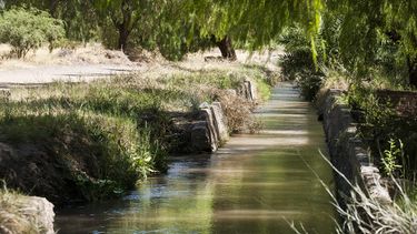 San Carlos: encuentran el cuerpo de una mujer en un canal de riego. Foto ilustrativa.