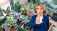 Jardinería: las 3 plantas que bloquean la energía positiva, según el Feng Shui