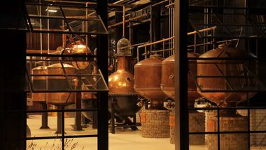 Una de las salas de alambiques, el alma de la empresa dedestilados