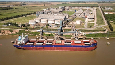 La agroindustria crece en el valor exportado pero pierde participación global