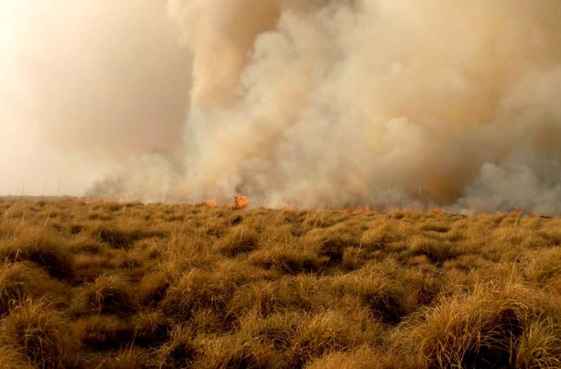 Incendios en la zona sureste de Malargüe.