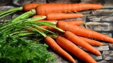 En la Provincia de Mendoza se cultivan zanahorias en el Este, Maipú, en Valle de Uco, Luján y Lavalle.