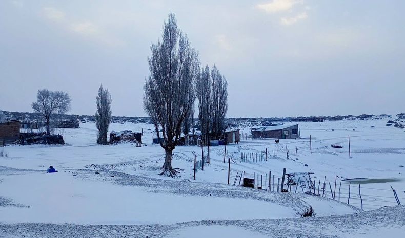 Ola polar en Mendoza: nieva en el Sur y el Valle de Uco ¿cuándo en el Gran Mendoza?.