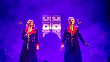 Miranda! cautivó a más de cien mil mendocinos en el cierre de la Peatonal del Vino. Miranda! cautivó a más de cien mil mendocinos en el cierre de la Peatonal del Vino.