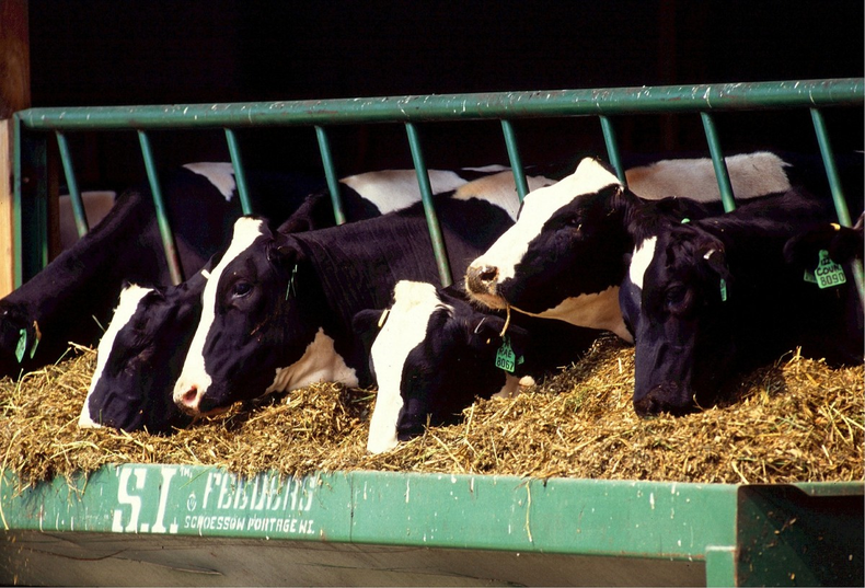 Sin bono ni mejora de los salarios los consumos de carne y leche siguen cayendo.