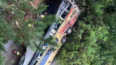 Trágico accidente vial en Misiones.