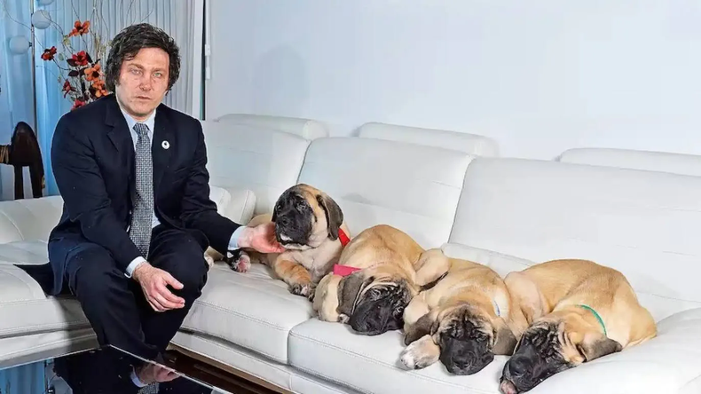 El vocero presidencial Manuel Adorni esquivó una vez más emitir una respuesta acerca de la cantidad de perros que tiene Javier Milei.