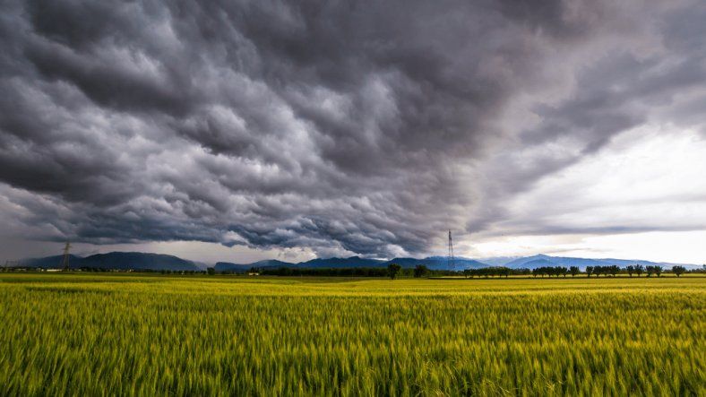 El Niño puede mejorar los rindes de cosecha de soja y maiz